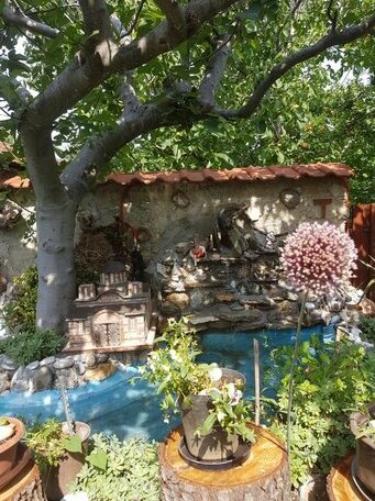 Vila Teodora - Photo2