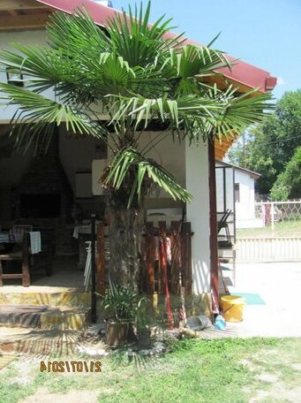 Vila Teodora - Photo3
