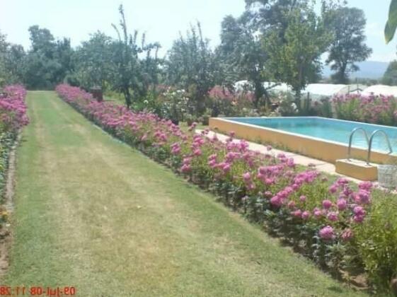 Danica House - Photo4