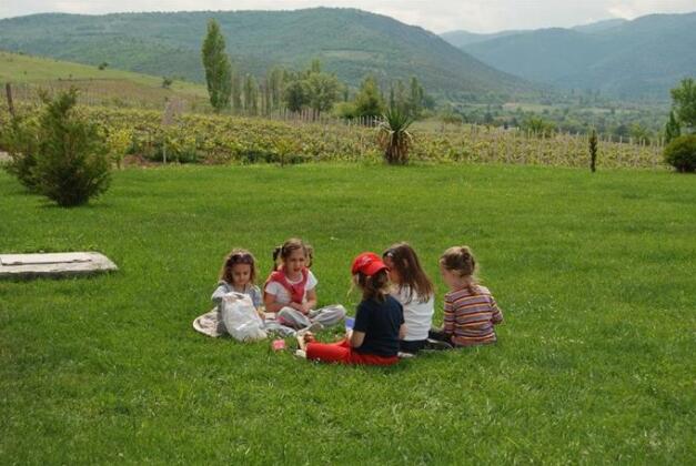 Popova Kula Hotel & Winery - Photo2