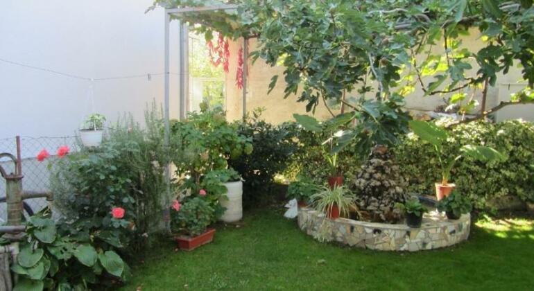 Antonio Guest House - Photo5
