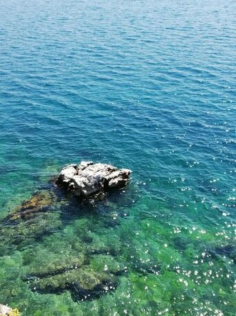 Apartment Delfina Ohrid - Photo4