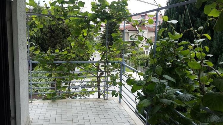Green Residence Ohrid - Photo4
