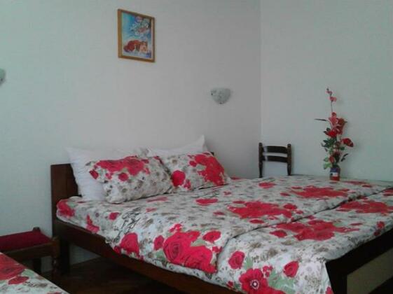House Nativa - Photo4