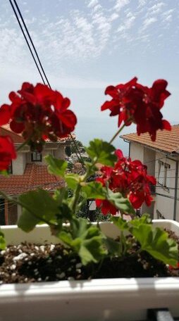 Villa Srma - Photo2
