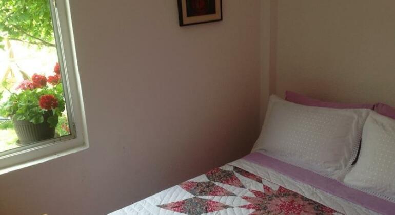 Viola Apartments - Photo5