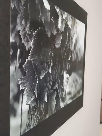 KOKINO Winery & Hotel - Photo3