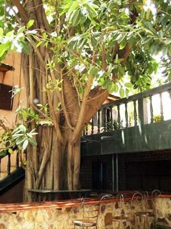 Hotel Tamana - Photo3