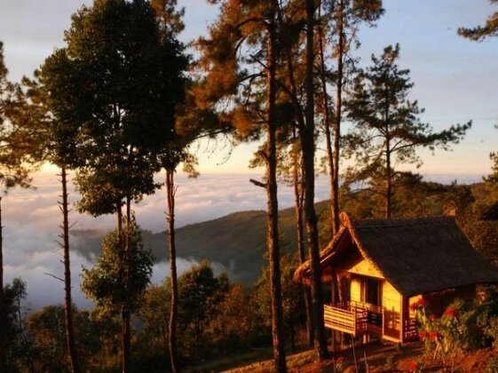 Pine Wood Villa Resort - Photo2