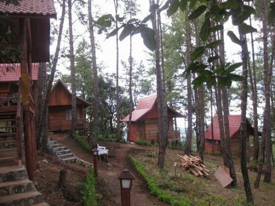 Pine Wood Villa Resort - Photo3