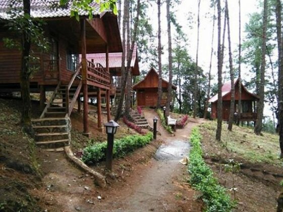 Pine Wood Villa Resort - Photo5