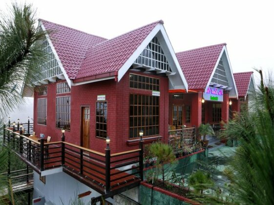 Pine Land Oasis Hotel - Photo3