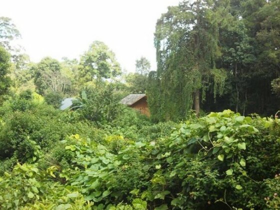 Thitaw Lay House - Photo3