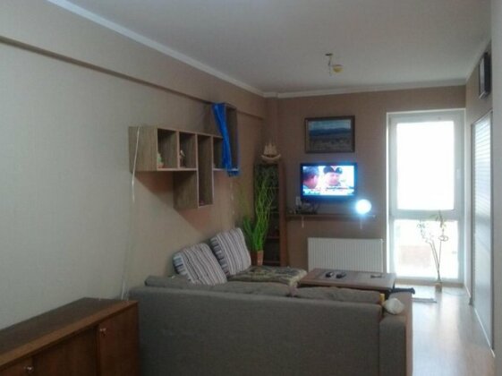 Viva city - Photo2