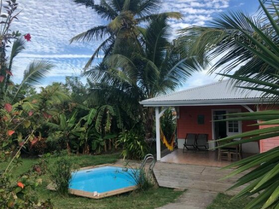 Ti Balisier - Photo2