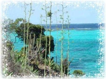 Croisiere Antilles Caraibes - Photo3