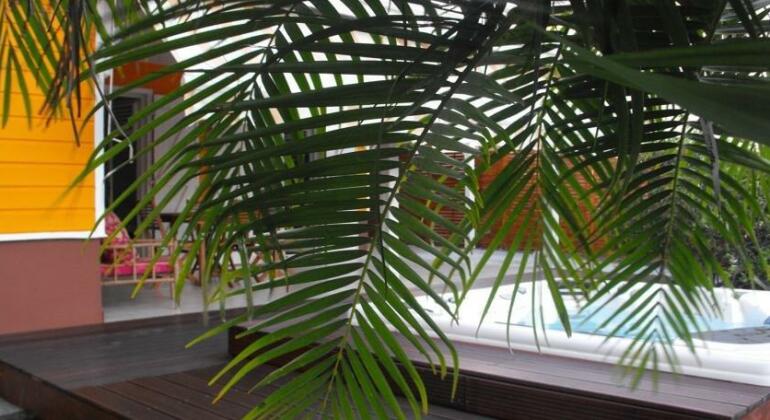La Villa Des Tropiques - Photo5