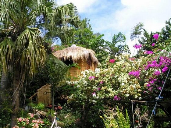 La Maison Bleue Eco-Tourisme - Photo2