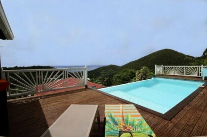 Villa Palmier rouge 3 ch piscine a debordement vue mer et vegetation