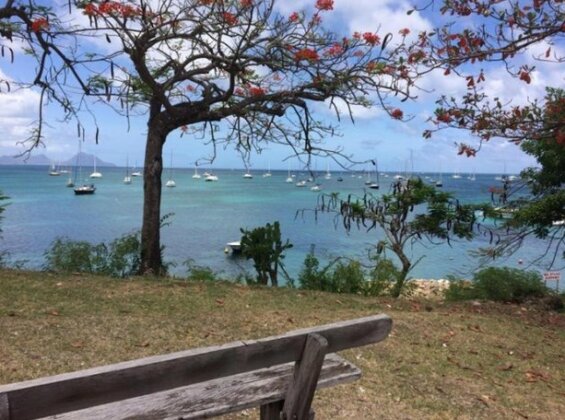 Holidays in Martinique - Ravenala - Photo5