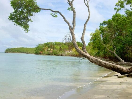 Studio Route des caraibes - Photo3