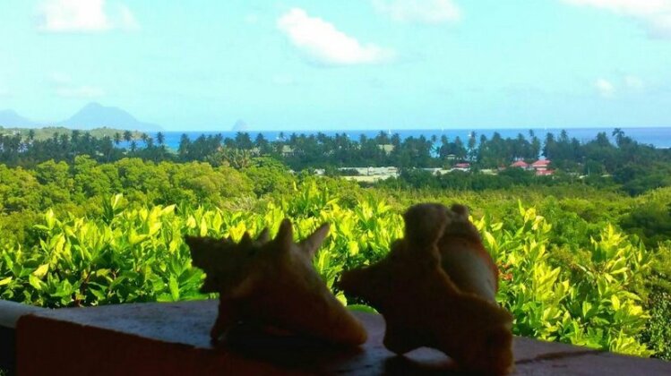 Studios Carribean Sea View - Photo2