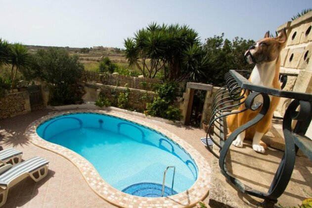 Maxija B&B - Palm - Photo2