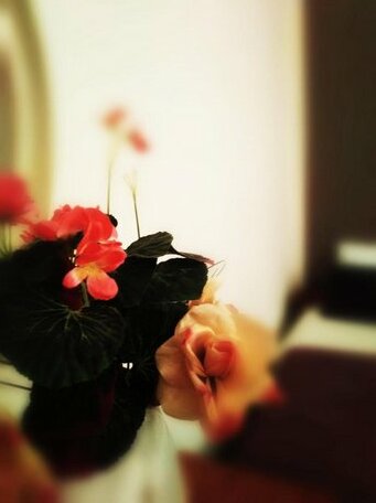 Ta Paolo - Photo5