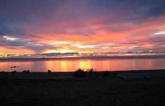 Fish Eagle Bay Lodge - Photo3