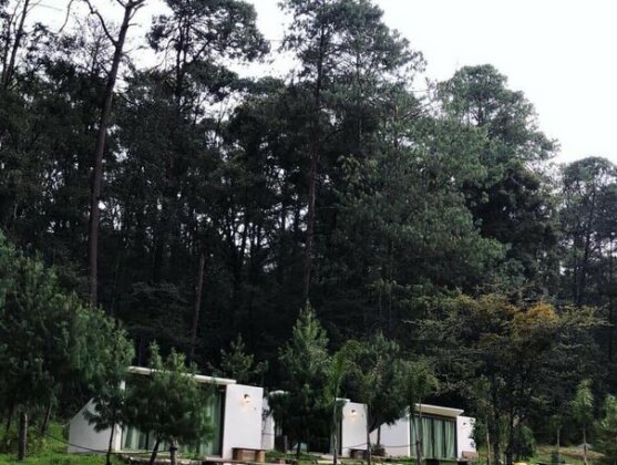 Romanticas Cabanas En Bosque - Photo2
