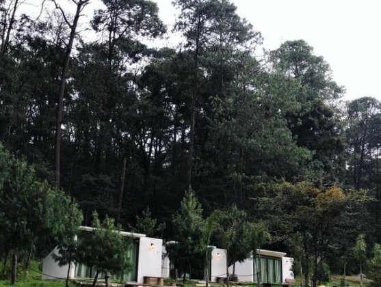 Romanticas Cabanas En Bosque - Photo2