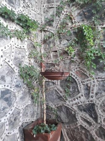 Hotel Vitorina - Photo3