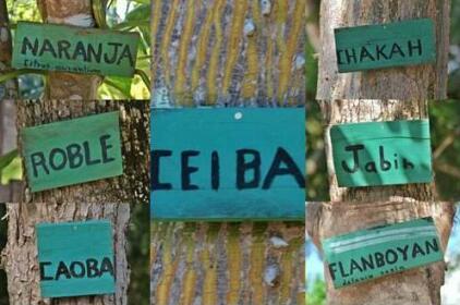 Villas Ecotucan
