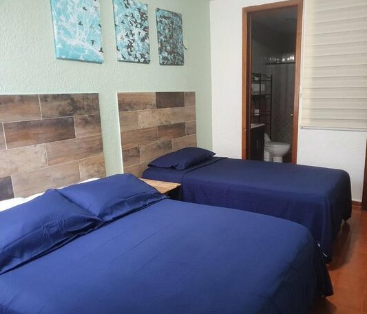 Zazil Hostel - Photo3