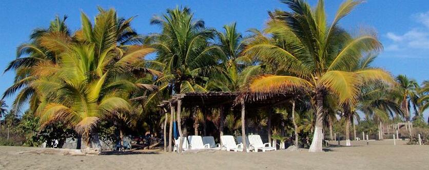 Playa Calli - Photo2