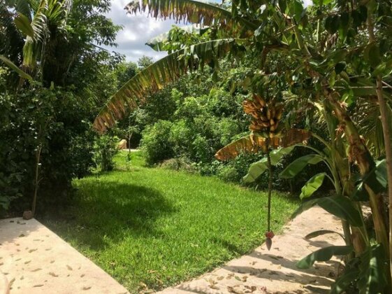 Hotel Casa Maya Calakmul - Photo5