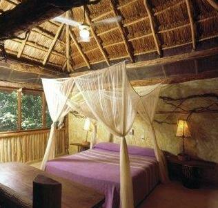 Puerta Calakmul Ecovillage - Photo3
