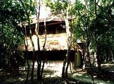 Puerta Calakmul Ecovillage - Photo4