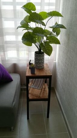 1 Noche Gratis En Cancun Siempre - Photo4