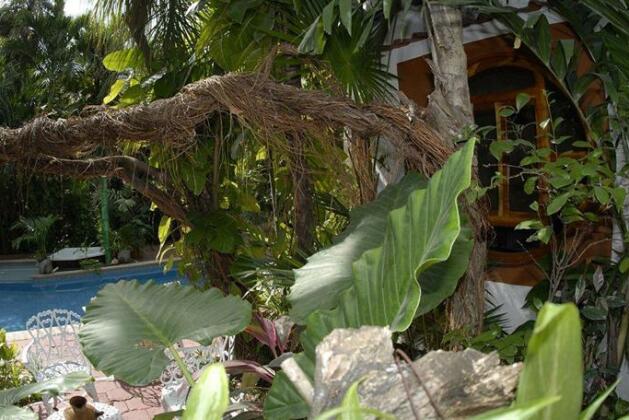 Eco-hotel El Rey del Caribe - Photo4