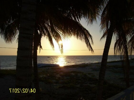 Flamingo Guest House Celestun - Photo3