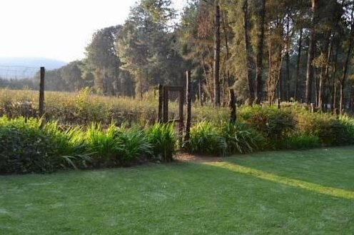 Rancho El Zacatonal - Photo5