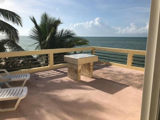 Flamingos Inn - Photo3