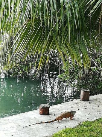 Posada del Brujo - Photo5
