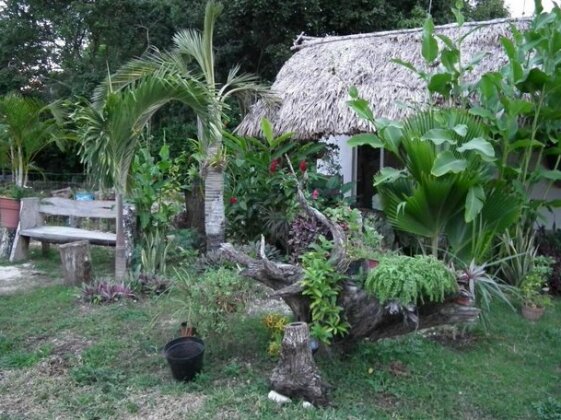 Posada Ixchel - Photo2