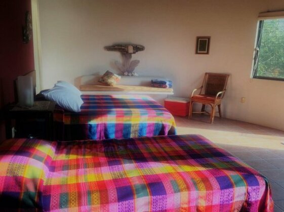 Balamku Inn on the Beach - Photo4