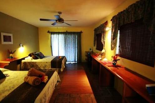 Maya Palms Resort & Dive Center - Photo2