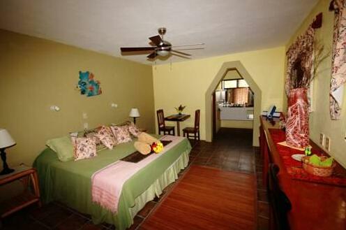 Maya Palms Resort & Dive Center - Photo4