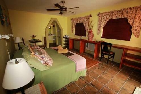 Maya Palms Resort & Dive Center - Photo5