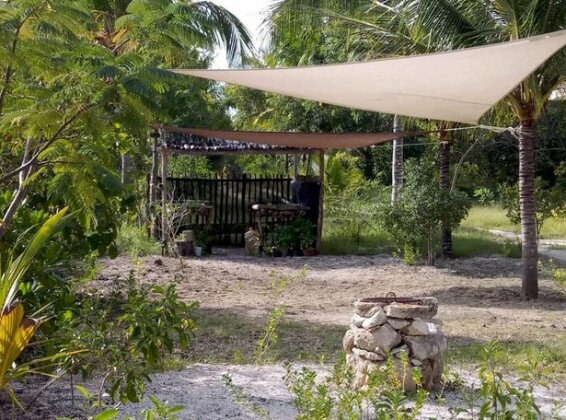 Iguanitas - Photo3